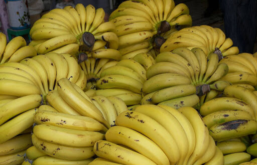 الموز اللبناني في طريقه للأسواق وتوقعات بانخفاض أسعاره