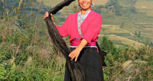 شعرهن لا يشيب وطوله مترين.. ما هو سر نساء قرية هوانغلو الصينية؟