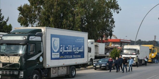 السورية للتجارة في اللاذقية تسير 11 شاحنة من الحمضيات إلى صالاتها في المحافظات