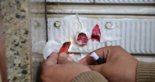 68 مخالفة و37 إغلاق محل بمخالفات صحية في منشأة بحماة