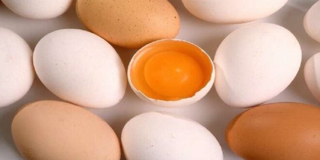 ماذا يحصل عند تناول البيض يوميا؟