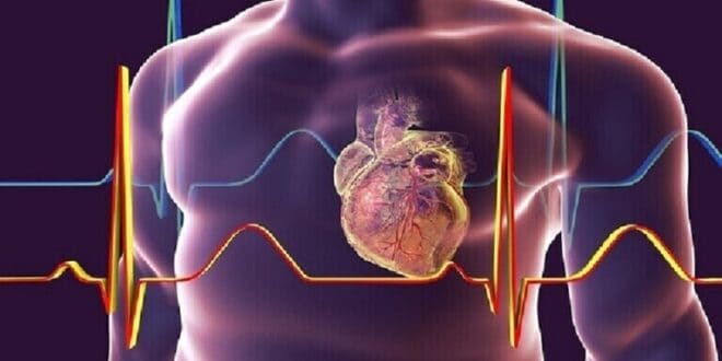 كشف عامل غير واضح يزيد من خطر الإصابة بأمراض القلب