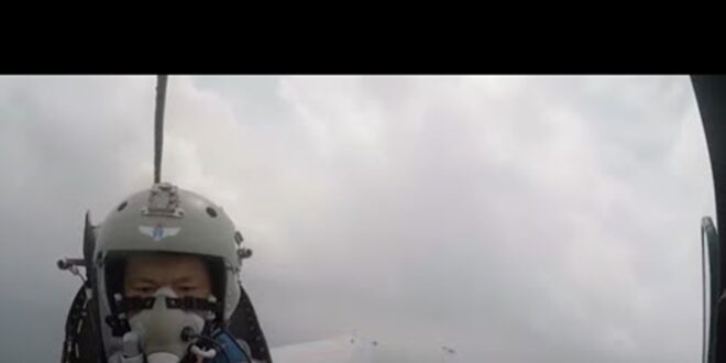 فيديو من داخل طائرة منكوبة بعد اصطدامها بالطيور