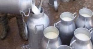 اللجنة الاقتصادية ترفض طلب وزارة الزراعة بإيقاف تصدير الحليب