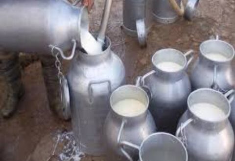 اللجنة الاقتصادية ترفض طلب وزارة الزراعة بإيقاف تصدير الحليب