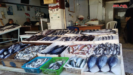 فقط في سوريا الأسماك “تحلق”.. أغلى الأنواع بـ 90 ألف والأسعار تبدأ من 4000