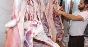 جمعية اللحامين تستبعد ارتفاع الأسعار رغم زيادة الطلب