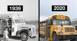 بعد 80 عاما.. لماذا لم يتغير شكل الحافلات المدرسية؟
