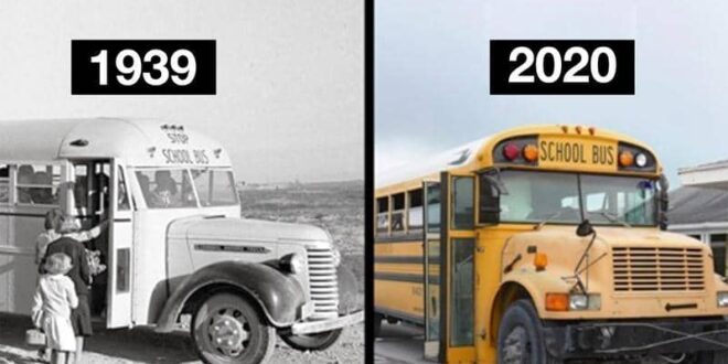 بعد 80 عاما.. لماذا لم يتغير شكل الحافلات المدرسية؟