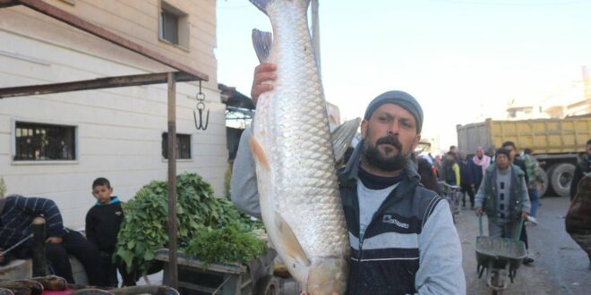 سمكة ب 100 ألف ليرة سورية في دير الزور