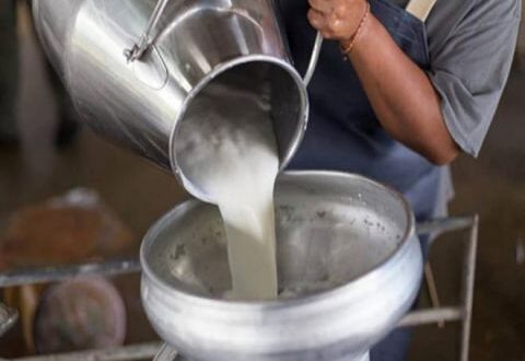 هيئة تنمية الصادرات: تصدير الحليب لا يؤثر على أسعاره محلياً