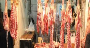 رغم ضعف الطلب..أسعار اللحوم الحمراء ترتفع بسبب التهريب
