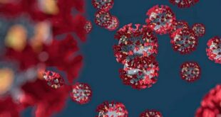 علماء يكشفون فصيلة الدم الأقل مقاومة للفيروسات.. هل تملكها؟