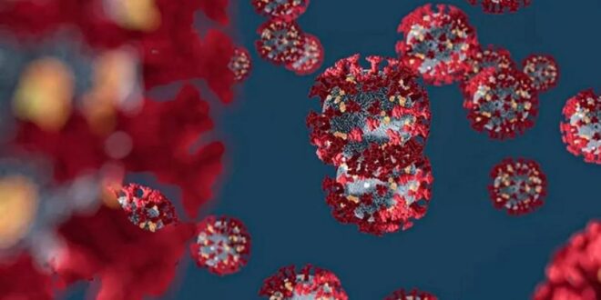 علماء يكشفون فصيلة الدم الأقل مقاومة للفيروسات.. هل تملكها؟