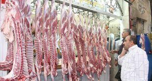 الثروة الحيوانية السورية تواجه خطر الإنقراض.. وجمعية اللحامين: تجار اللحوم يخسرون