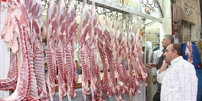 الثروة الحيوانية السورية تواجه خطر الإنقراض.. وجمعية اللحامين: تجار اللحوم يخسرون