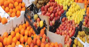 مدير غرفة زراعة دمشق وريفها: لا يجوز إيقاف تصدير الخضار والفواكه لأسباب ثلاثة