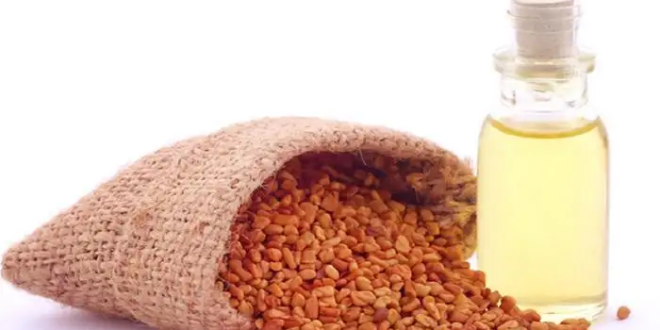 فوائد الحلبة السحرية.. منها خسارة الوزن