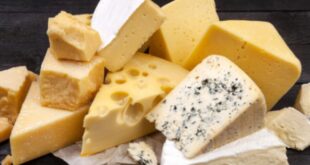 أخطر أنواع الجبن في العالم