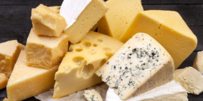 أخطر أنواع الجبن في العالم