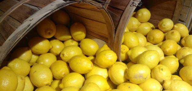 طرق تخزين الليمون لاستخدامه في غير موسمه