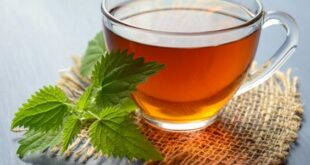 منجم من الفوائد.. شاي النعناع مفيد لصحة الإنسان بشكل لا يمكن تصوره!