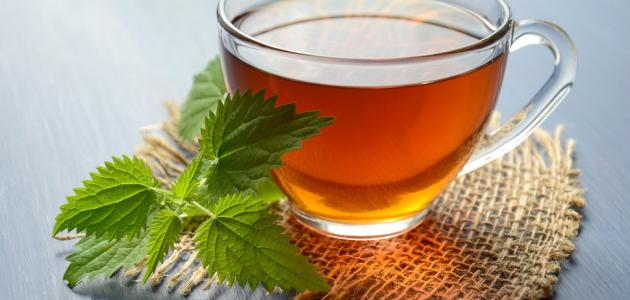 منجم من الفوائد.. شاي النعناع مفيد لصحة الإنسان بشكل لا يمكن تصوره!