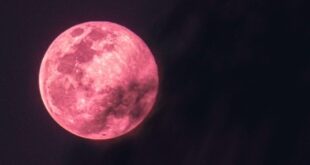 استعدوا لرؤية القمر الزهري العملاق في رمضان بتاريخ 26 نيسان