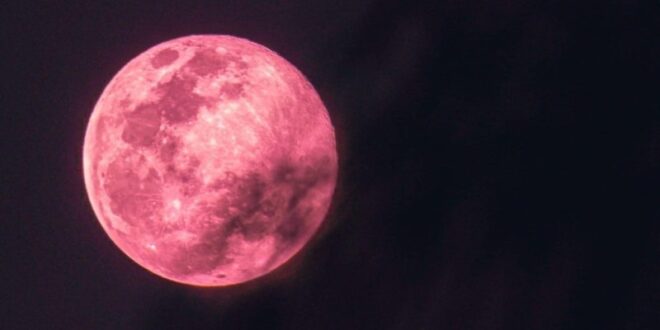 استعدوا لرؤية القمر الزهري العملاق في رمضان بتاريخ 26 نيسان