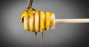 خبيرة تكشف فوائد نوع من العسل