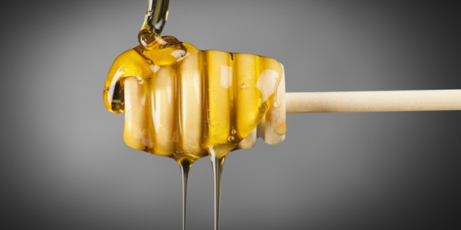 خبيرة تكشف فوائد نوع من العسل