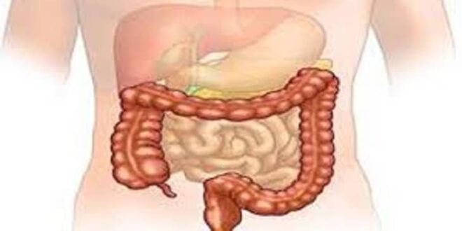 أفضل طريقة لتنظيف البطن وحماية القولون