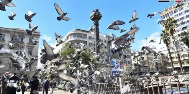 زيّنوا المرجة": أغنية بلا مغنّي ولا مؤلف ولا ملحّن
