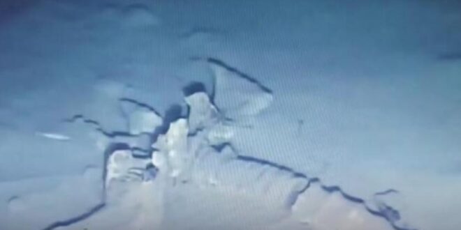 اكتشاف بقايا وحش بحري عملاق في البحر الأبيض المتوسط