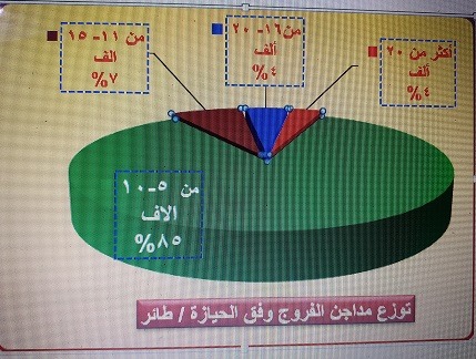 لماذا تدهور الفروج بعد ازدهاره في سورية