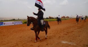 سباق الخيول العربية