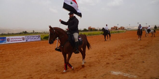 سباق الخيول العربية