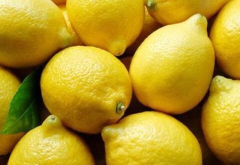 تجار سوق الهال بدمشق: الليمون المهرب