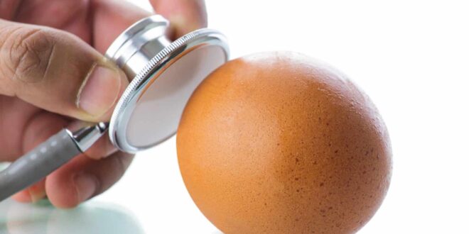طريقة سهلة لمعرفة البيض الفاسد قبل اكله