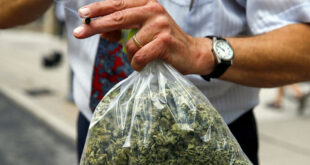 الماريجوانا والنبيذ مكافأة لمن يتلقى لقاح فيروس كورونا في هذا البلد
