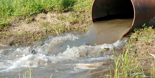 مدير زراعة ريف دمشق يعترف باستخدام الفلاحين مياه “مخلوطة” بالصرف الصحي
