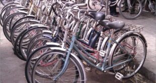 الدراجات الهوائية.."مركوب الفقير" أسعارها تصل إلى ١.٥ مليون في ريف دمشق !