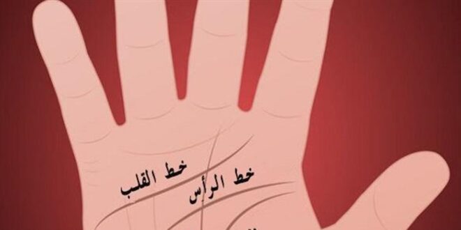 قراءة الكف: خطي القلب والعقل