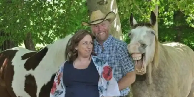 حصان يشارك زوجان فرحتهما من خلال ابتسامة عريضة في صورة