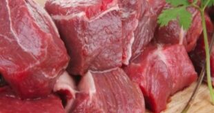 أسعار اللحوم الحمراء انخفضت وحركة البيع ضعيفة