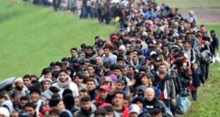 لاجئون سوريين يقاضون دولة أوروبية ويجبرونها على دفع آلاف اليوروهات