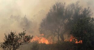 إخماد حرائق في الأراضي الزراعية بمحافظة اللاذقية
