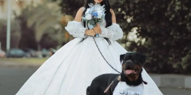 الإفتاء المصرية ترد على إعلان فتاة زفافها من كلب