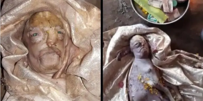 ولادة ماعز بوجه إنسان يثير الرعب في الهند