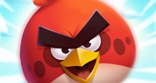 أرادت الاهتمام بهما.. خطأ تجميلي يحول سيدة إلى Angry Bird